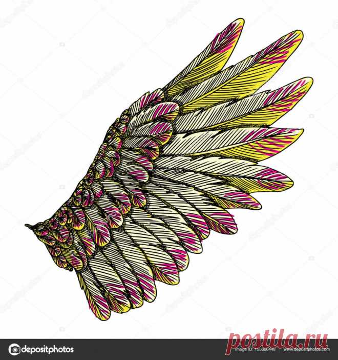 Vintage asa colorida de desenho Asa de águia único colorido pássaro ou anjo. Asa de estilo vintage de xilogravura gravado colorido. Conceito de projeto do tatuagem totem Africano, indiano para a arte do corpo. Vector
