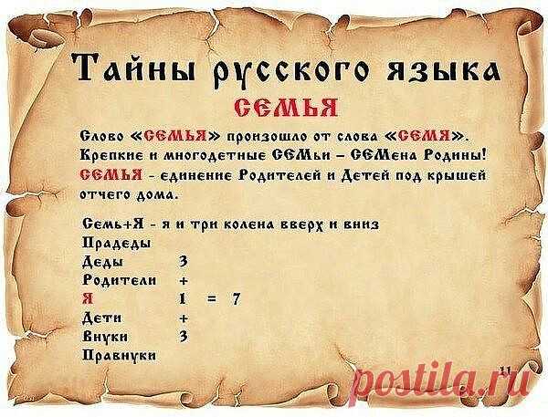 (7) Одноклассники