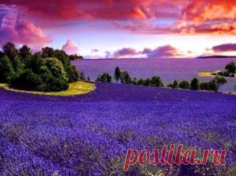 Earth story - Field