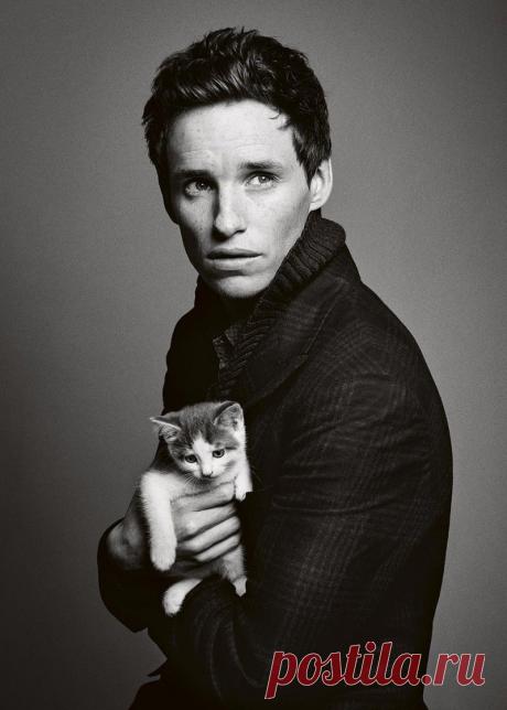 Eddie Redmayne in Harper's Bazaar UK 2015 Photo Shoot
