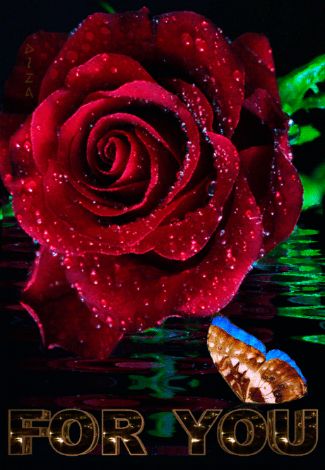 For You