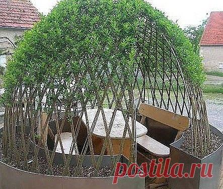 Живые беседки из укорененной ивы