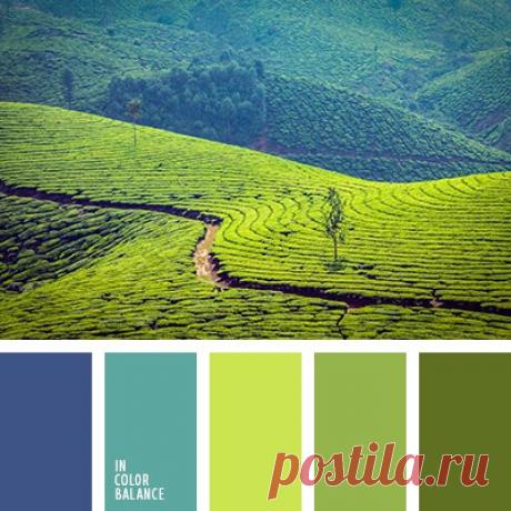 Цветовые сочетания
Холодные оттенки