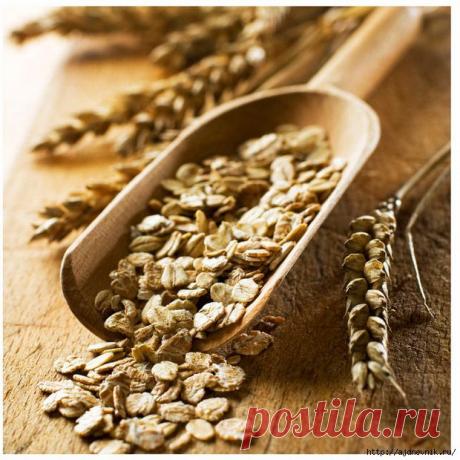 Альтернативные источники кальция!