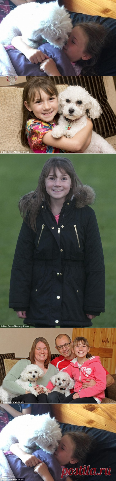 Собака предугадывает приступы маленькой хозяйки, больной эпилепсией