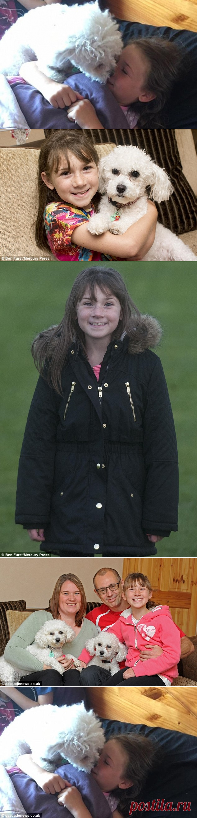 Собака предугадывает приступы маленькой хозяйки, больной эпилепсией