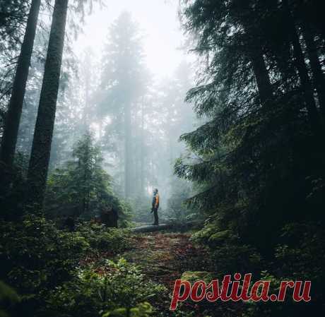 Приходя в гости к природе, не делай ничего, что счёл бы неприличным делать в гостях.

Давид Львович Арманд