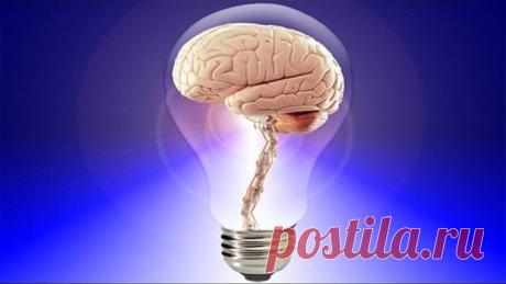 13 идей как ускорить работу мозга - Как улучшить память и развить умственные способности