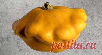 Патиссоны Что можно сделать из этих нарядных овощей