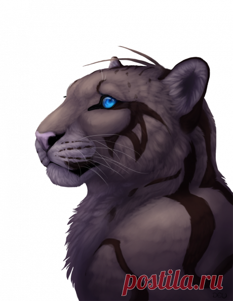 Happy Birthday Akeli by DeyVarah on DeviantArt