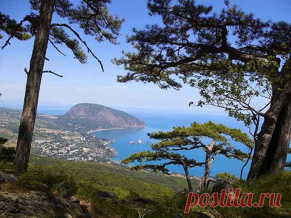 Мой Мир@Mail.Ru: Мне предлагают дружбу