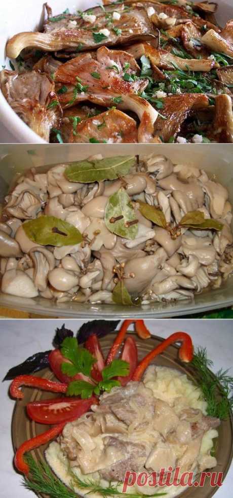 Вешенки – готовим полезные «деликатесы» / Простые рецепты