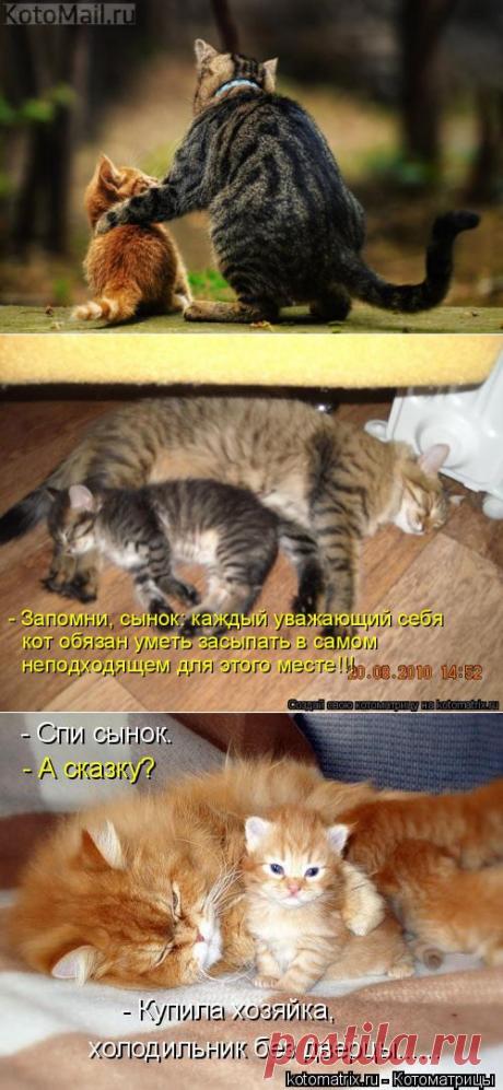 Эх! Сыночек. | KotoMail.ru
