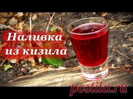 Кизил - Полезные и опасные свойства кизила