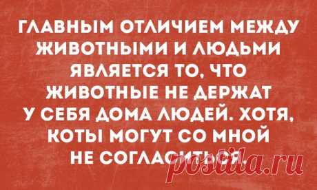 Скачать прикольные картинки