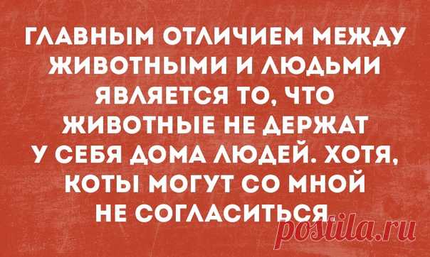 Скачать прикольные картинки