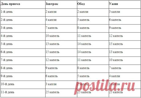 Тибетский рецепт: чесночная настойка для чистки сосудов в домашних условиях