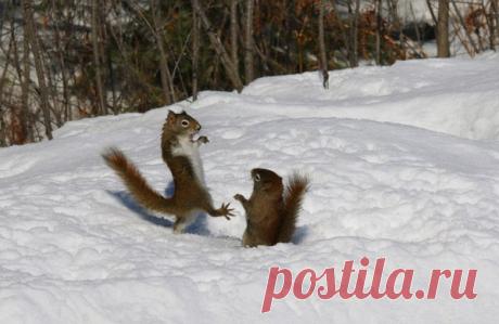 Интересные новости