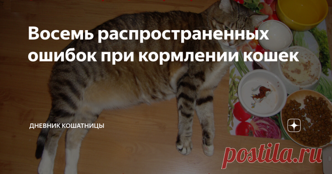 Восемь распространенных ошибок при кормлении кошек 1. Кормление собачьим кормом
Удивительно, что кто-то может додуматься кормить кошку собачьим кормом, но это довольно частая история. Многим проще разрешить всем животным в доме есть из одной миски, чем постараться потратить свое время на соблюдение режима питания каждого отдельного животного. К сожалению, это может иметь серьезные последствия для здоровья кошки.