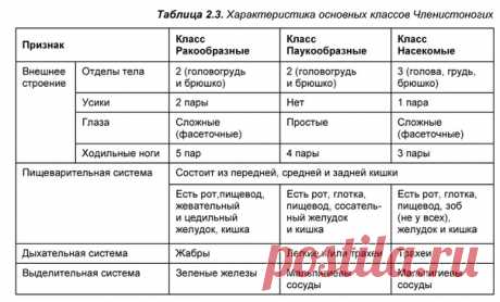 Характеристика основных классов Членистоногих