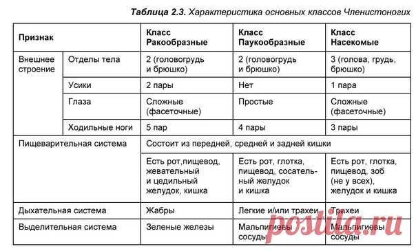 Характеристика основных классов Членистоногих