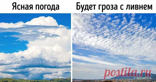 Как за пару секунд понять, что надеть, выходя на улицу . Милая Я