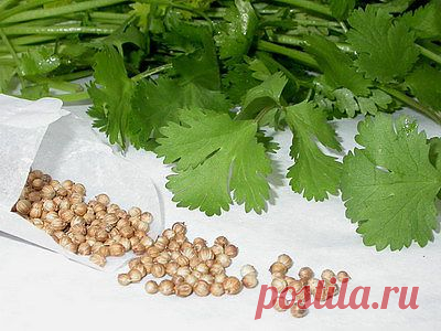 5 чудесных специй, которые помогут сохранить здоровье - MixedNews.ru