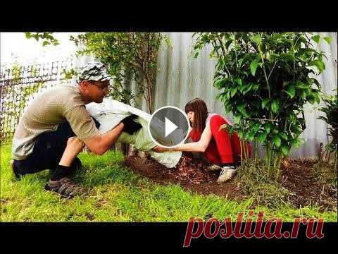 Обустройство участка своими руками за копейки! В этом видео мы заканчиваем благоустройство своего заднего двора. Работа была достаточно трудоемкая, но мы ее преодолели! ДРУЗЬЯ, ПОДПИШИТЕСЬ НА НАС! ...