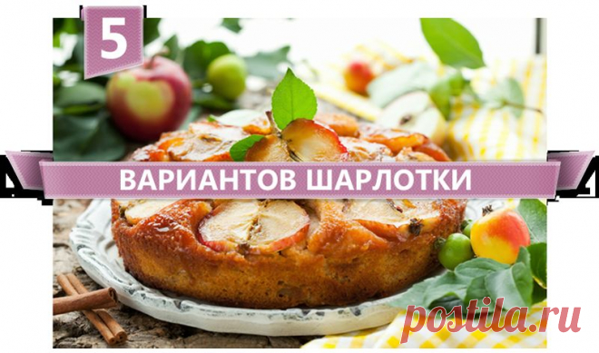 Шарлотка : топ-5 вариантов приготовления | Четыре вкуса