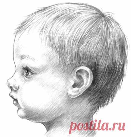 Рисуем лицо младенца: пошаговый урок