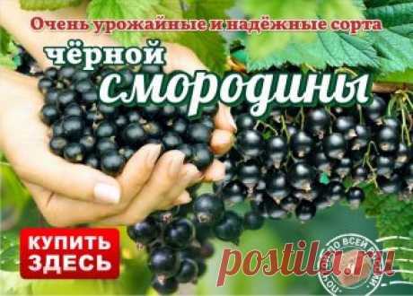 Почта Mail.Ru