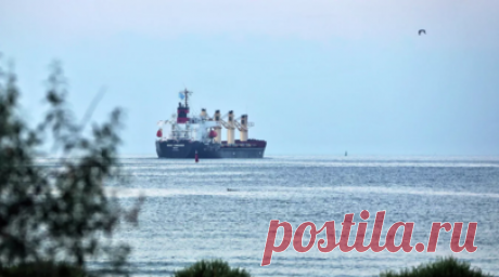 Росморречфлот: экипаж севшего на мель сухогруза у Анапы не пострадал. Члены экипажа сухогруза Blue Shark, севшего на мель после шторма под Анапой, не пострадали. Об этом заявили в пресс-службе Росморречфлота. Читать далее