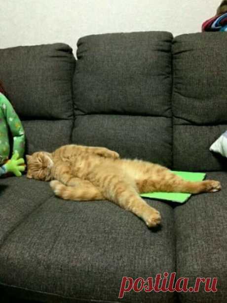 Лежу - отдыхаю..., никому не мешаю