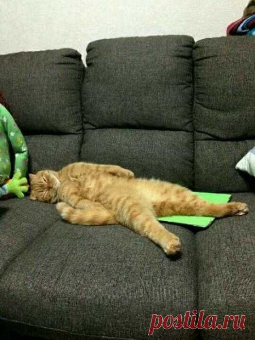 Лежу - отдыхаю..., никому не мешаю