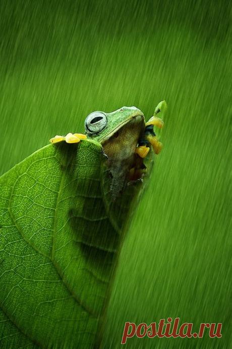 A beautiful photo you feel with your heart