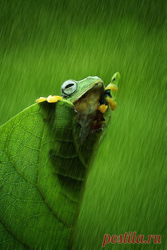 A beautiful photo you feel with your heart