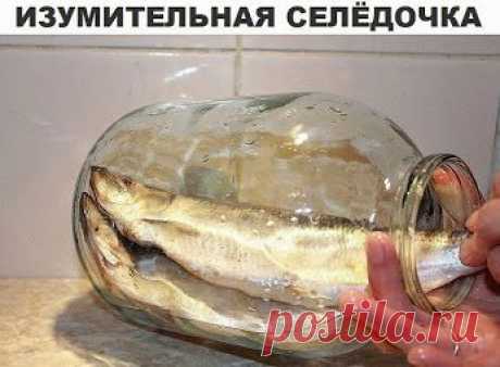 Изумительная селёдочка