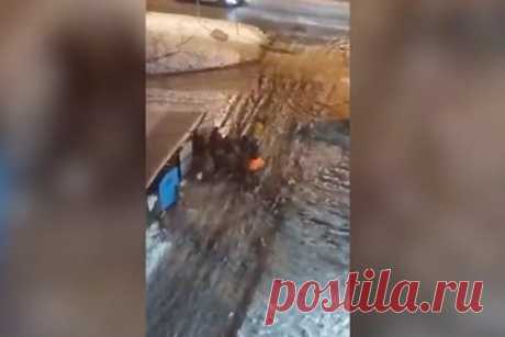 Драка москвичей у мусорных баков за просрочку из «Дикси» попала на видео. В столичном районе Щукино каждый вечер происходит драка за просрочку из магазина Дикси возле мусорных контейнеров под окнами домов. Жительница одной из квартир, окна которой выходят на контейнерную площадку, выложила видео с борьбой за еду. После драки всегда остается много мусора, который потом убирают дворники.