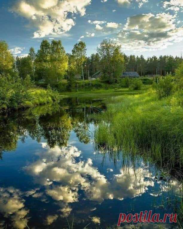 Стихи И.Северянина