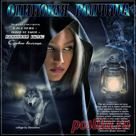 Одинокая волчица ~ Плейкасты ~ Beesona.Ru