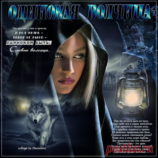 Одинокая волчица ~ Плейкасты ~ Beesona.Ru