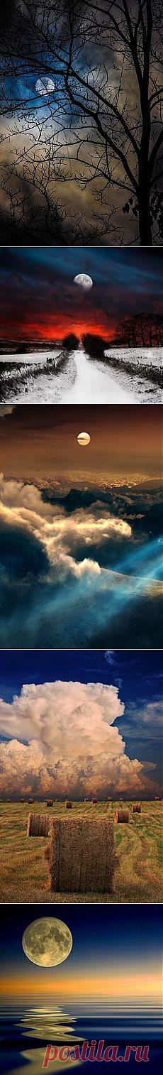 Gerald Kloss | Crazy for the Moon