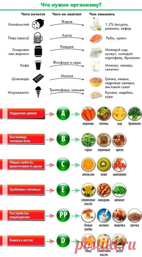 В каких продуктах и витаминах нуждается организм — Делимся советами