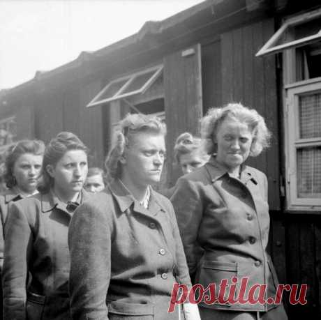 Нацистское государство и общество отличались крайней степенью милитаризма, который проникал во все сферы жизни. И пока мужчины воевали на фронте, некоторые женщины работали на СС и политическую полицию (гестапо).