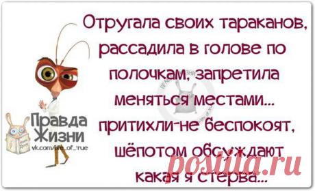 У вас есть паруса, а вы вцепились в якорь... - Страна Мам