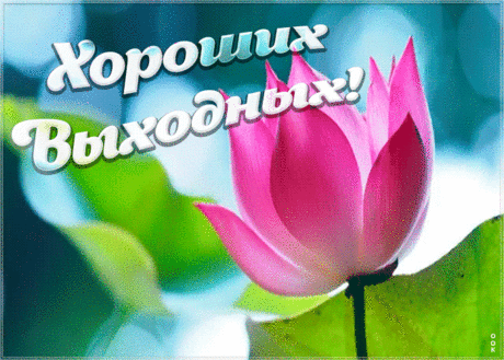 Прикольная открытка хороших выходных