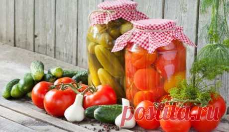 7 самых вкусных рецептов консервации! Не потеряйте! - Искусство здоровой жизни