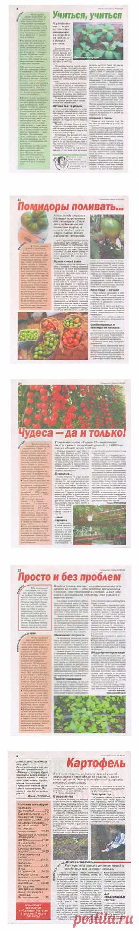 Фазенда. Новые технологии 2014.