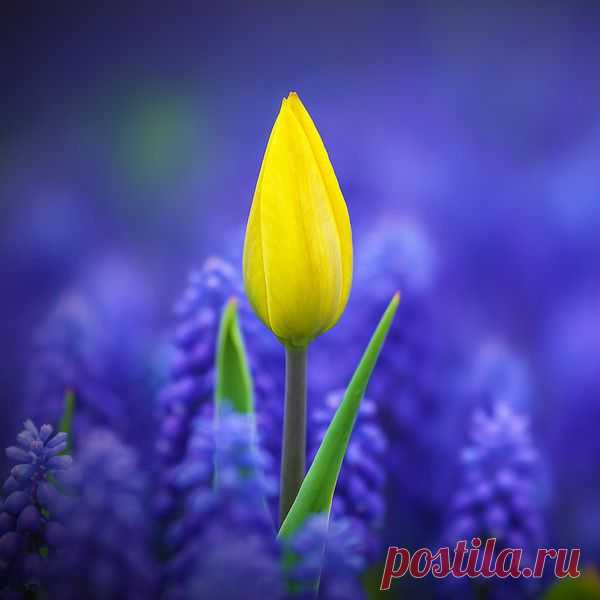 Мой Мир@Mail.Ru