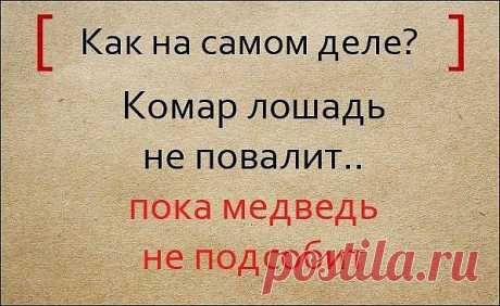 Народная мудрость